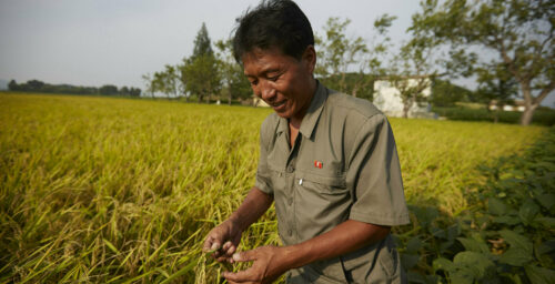 How economic reforms are changing N. Korea’s farming industry