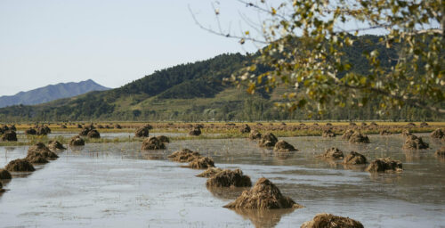 N. Korean leadership highlighting flood damage prevention