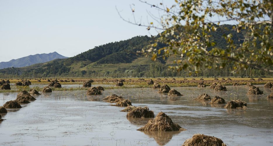 N. Korean leadership highlighting flood damage prevention