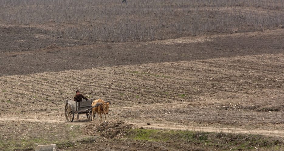 Belarus bans North Korean animal products