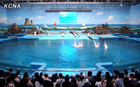 Kim Jong-un Brings Dolphins to Pyongyang