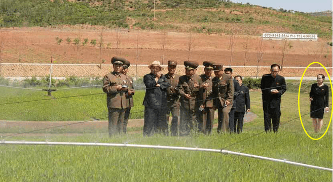 Kim Yo Jong reappears after 47-day absence