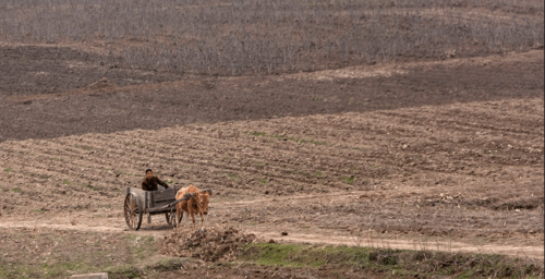 North Korea and Syria to expand agricultural co-operation