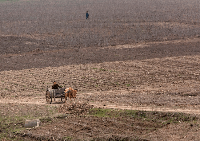 North Korea and Syria to expand agricultural co-operation