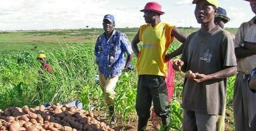 In Angola, potential for North Korean investment in agriculture