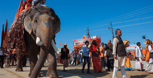 North Korean diplomats and the illegal ivory trade