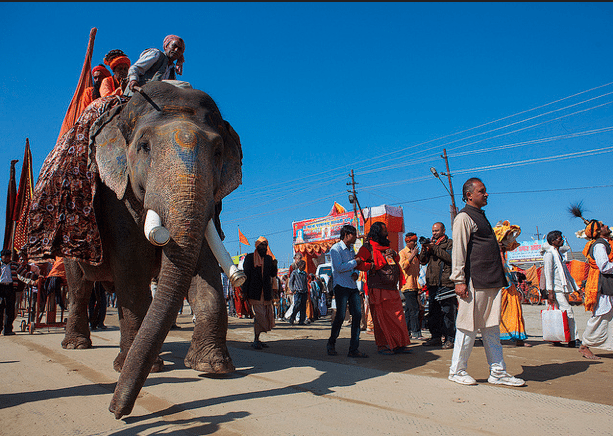 North Korean diplomats and the illegal ivory trade