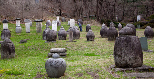 Grave-robbing in North Korea