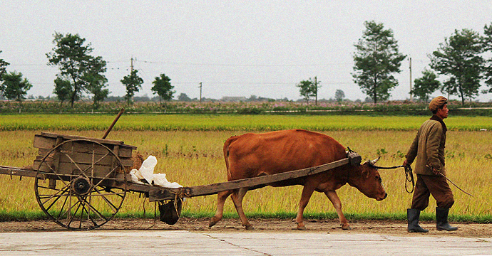 North Korea needs good ideas, not more aid