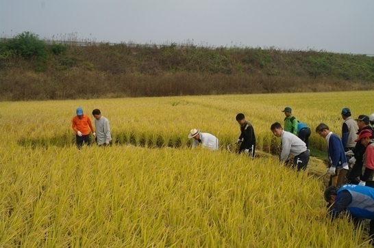 S.Korean farmers urge to provide rice to N.Korea