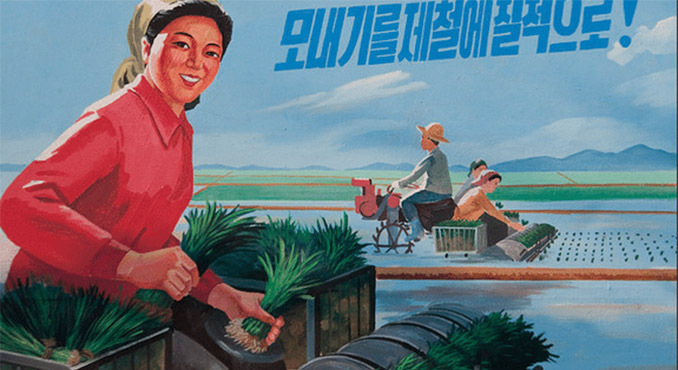 Let them eat rice: North Korea’s public distribution system