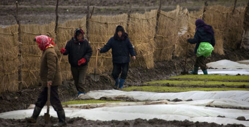 Overseas workers key to sanctioning N.Korea: think tank