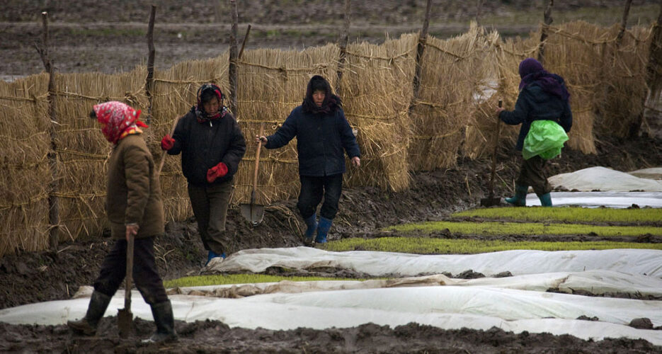 Overseas workers key to sanctioning N.Korea: think tank