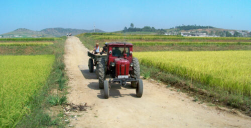 N.Korean cereal imports fall to lowest levels in 10 years