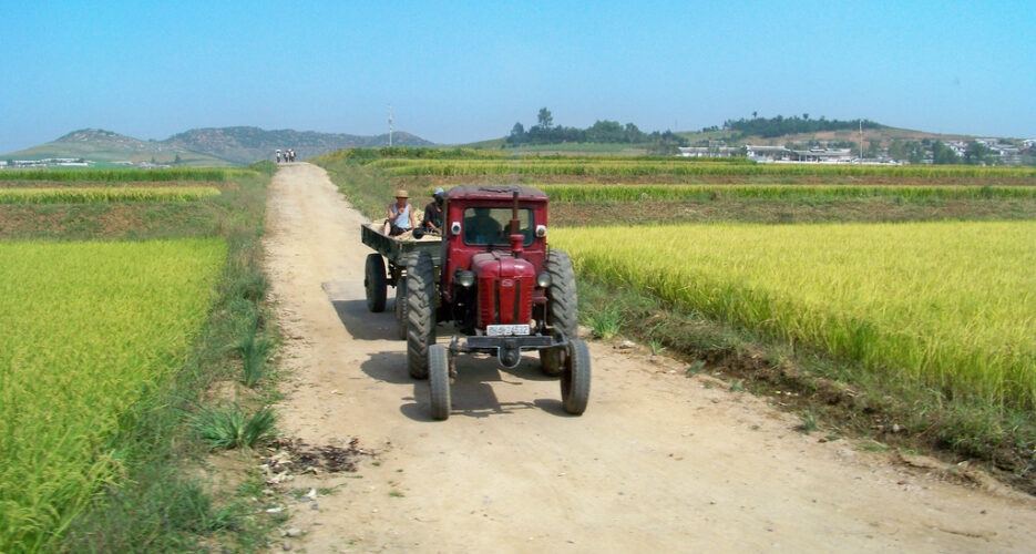 N.Korean cereal imports fall to lowest levels in 10 years