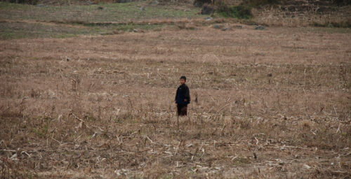 N.Korean food insecurity remains high, crop production down: Report