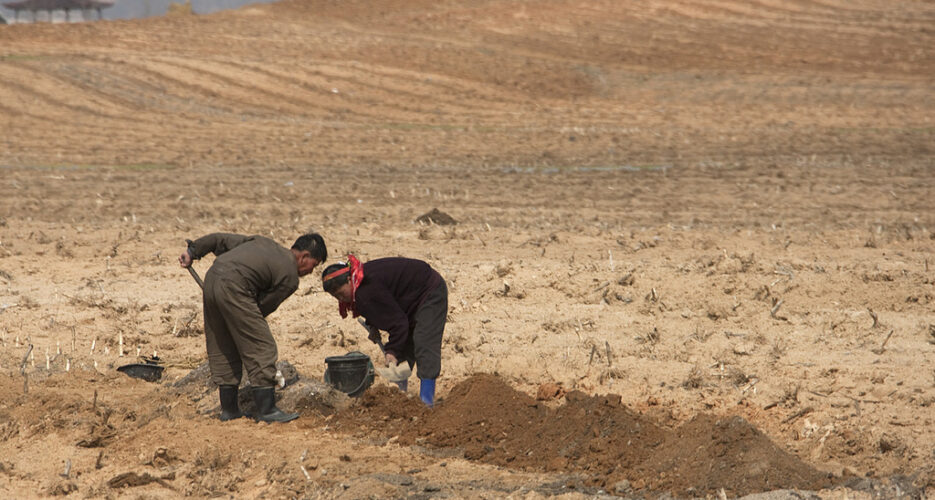 After delay, German NGO wins UN approval for food security projects in N. Korea