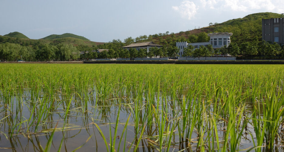 Green revolution? Sustainable development in North Korea