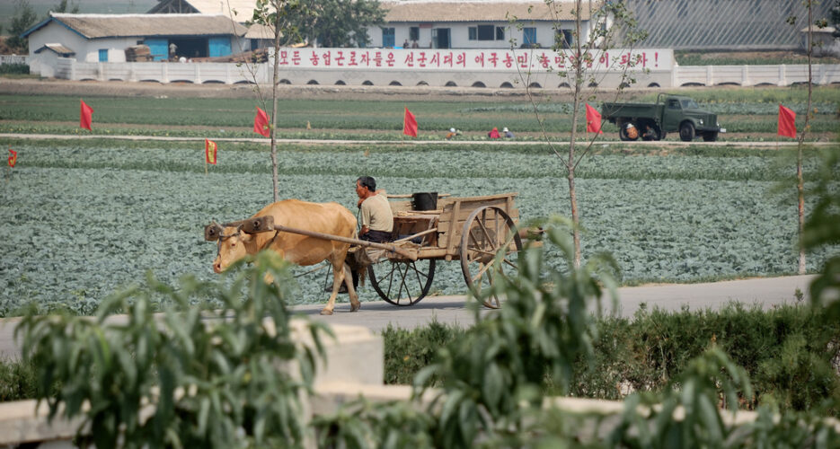 Why farmers may be sowing the seeds of North Korea’s economic reform