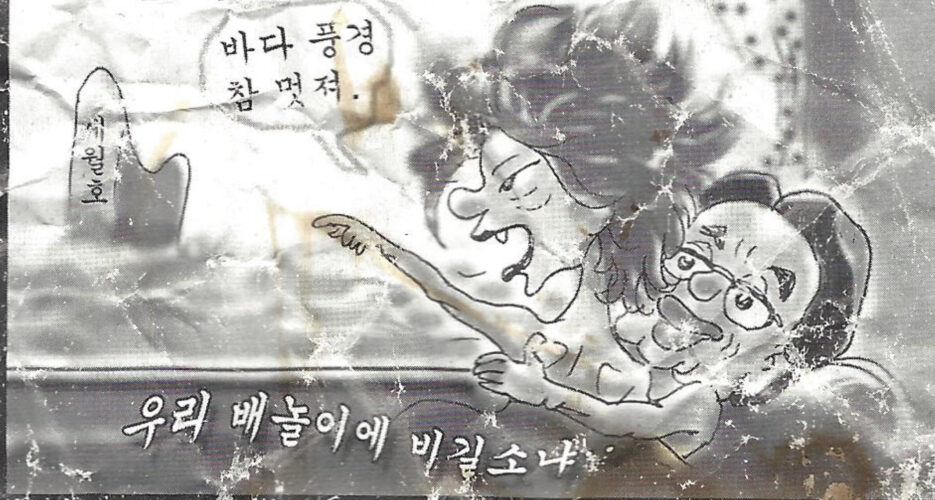 N.Korean leaflets with sexually explicit cartoons of Park found in Seoul