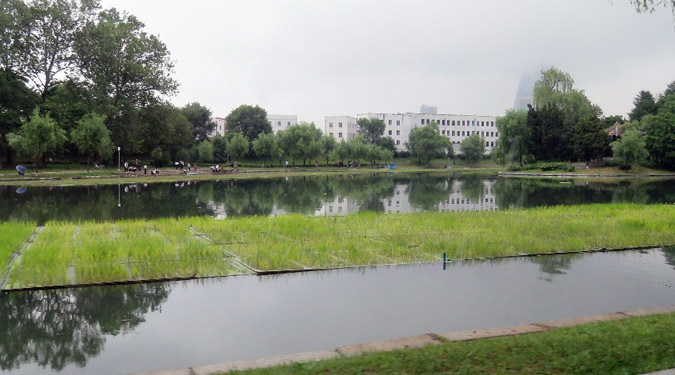 Floating rice plants and gardens proliferate in Pyongyang: photos