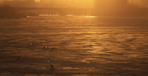 Life below freezing: a North Korean winter, in pictures