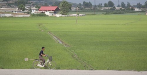 Why unification offers the best chance for improving North Korean human rights