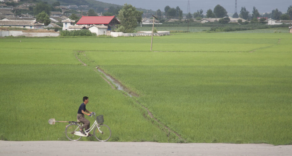 Food insecurity “expected to increase” in North Korea this year: FAO