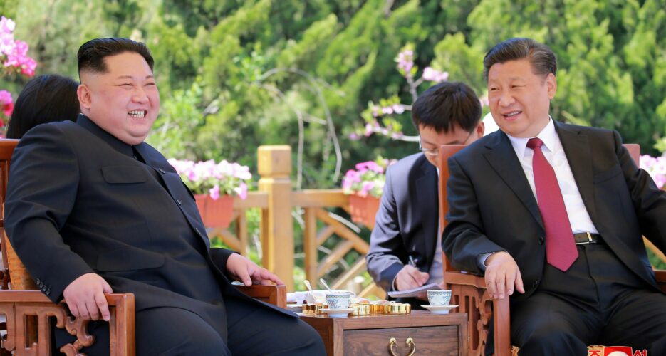 Occupational hazards: what Xi Jinping sees in Kim Jong Un