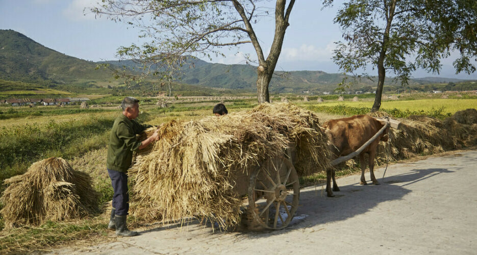 IFRC releases $214,500 emergency funds due to North Korea heatwave