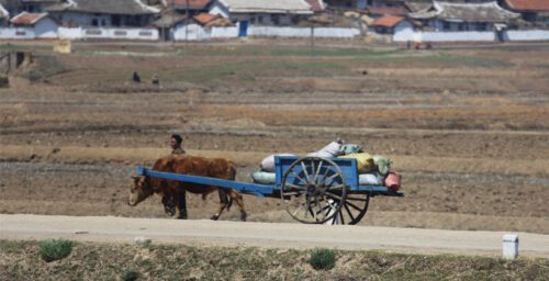 U.S. NGOs being blocked from humanitarian work in N. Korea, sources say