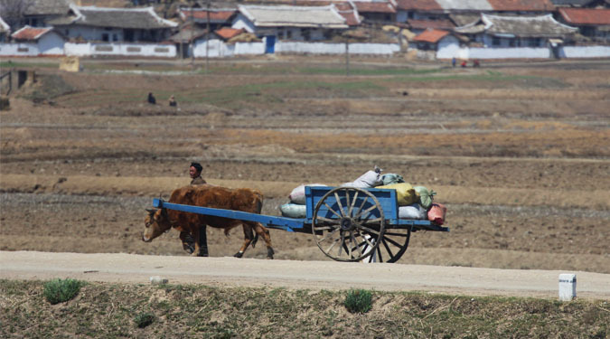 U.S. NGOs being blocked from humanitarian work in N. Korea, sources say