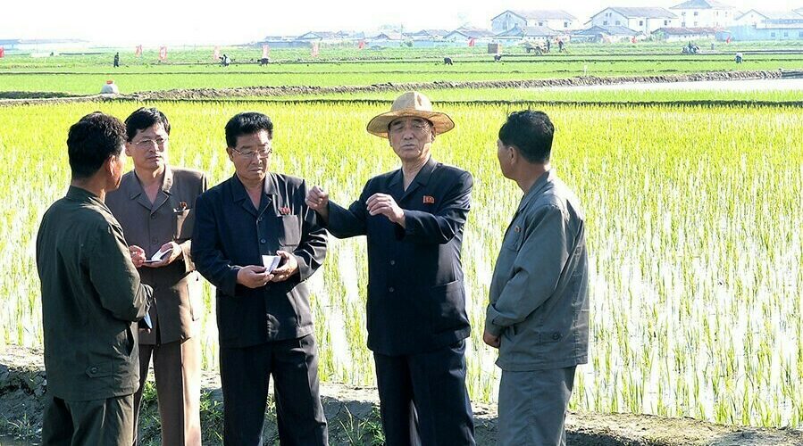 North Korean Premier admits to failures in country’s agricultural sector