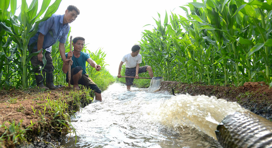 Rodong Sinmun calls for “all efforts” to quickly secure water supplies