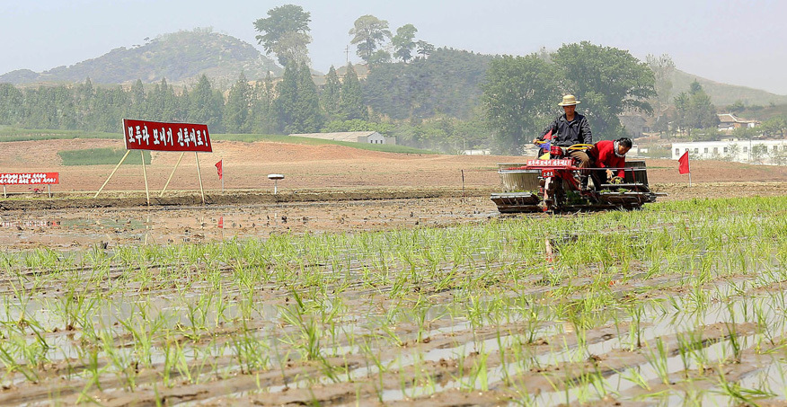 North Korean media calls for mass mobilization to combat drought damage to crops