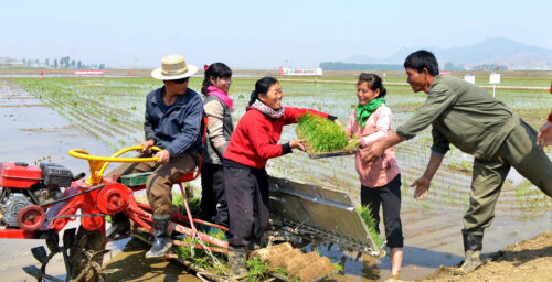 Average rainfall this year at its lowest in a century, North Korean media says