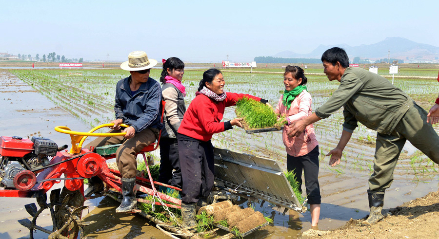 Average rainfall this year at its lowest in a century, North Korean media says