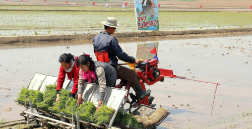 Food security remains ‘fragile’ in North Korea but data hard to come by: Report