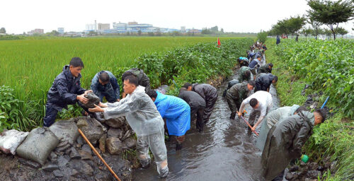 North Korea completes new environmental protection, disaster risk reduction plans