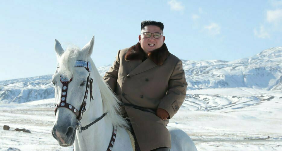 Russia ships 30 horses to North Korea in first bilateral rail trade in years