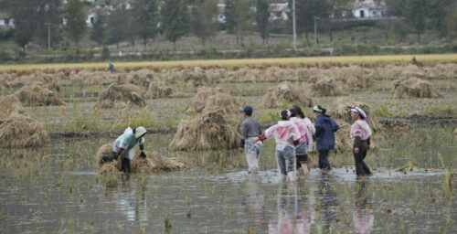 UN releases emergency funding for cyclone damage in North Korea