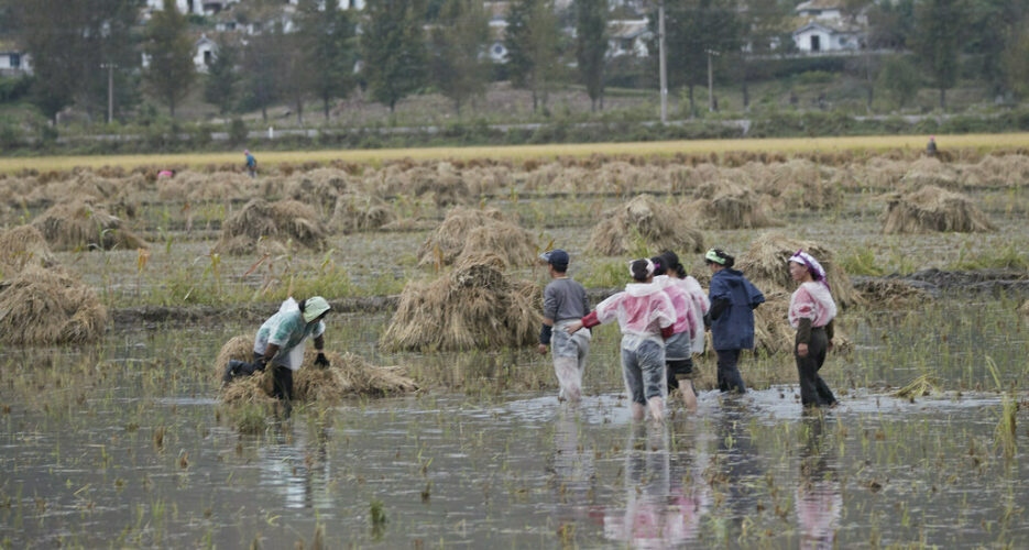 UN releases emergency funding for cyclone damage in North Korea