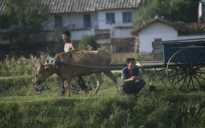 Why humanitarian agencies face difficulties in responding to needs in the DPRK