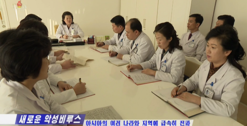 North Korea working with WHO to prevent potential coronavirus outbreak: official