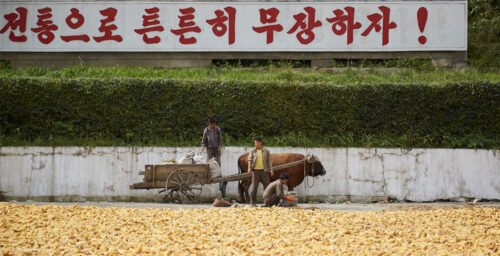 10.1 million North Koreans need “urgent” food aid despite “bumper harvest”: UN