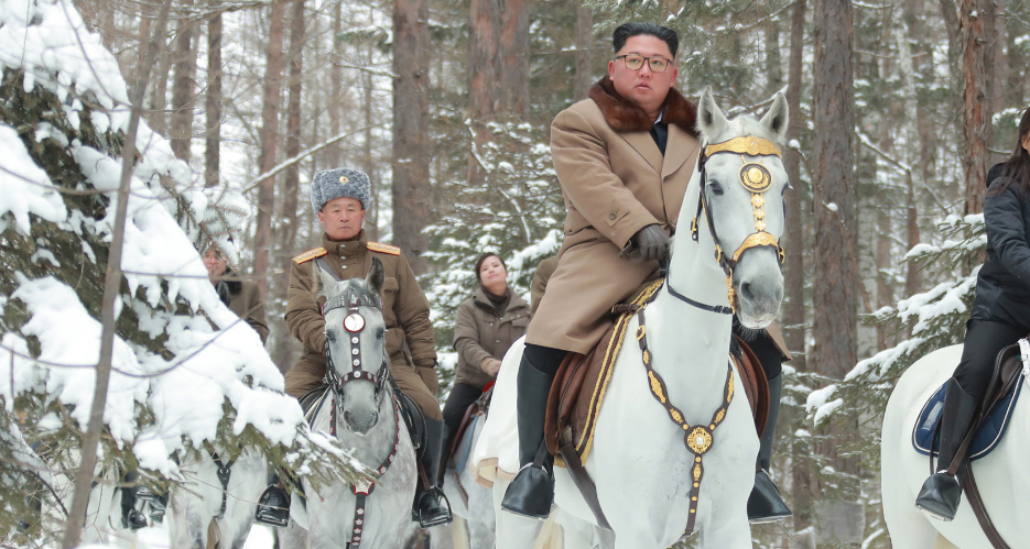 North Korea imported a dozen purebred horses from Russia last year, data shows