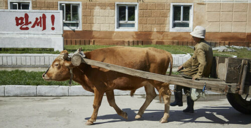 10 million North Koreans “urgently require” food assistance: UN report