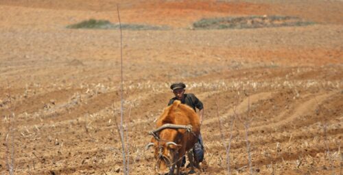 Nearly 60% of North Koreans now food insecure, worsened estimates after COVID-19