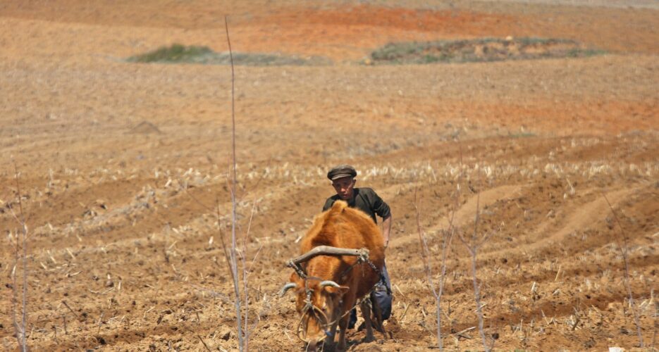 Nearly 60% of North Koreans now food insecure, worsened estimates after COVID-19