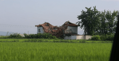 At least 22 dead in North Korea after weeks of storms and flooding, IFRC says